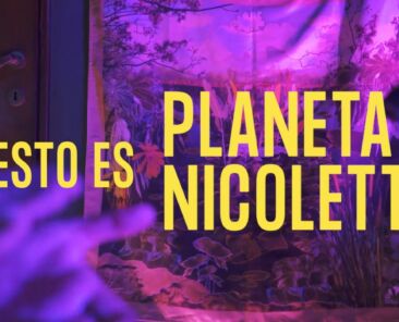 planeta nicoletta portada (Demo)