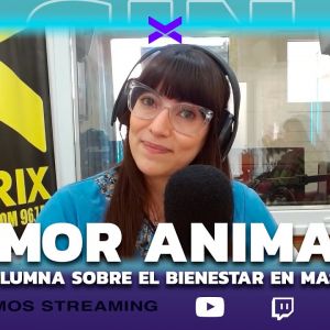 AMO ANIMAL SD