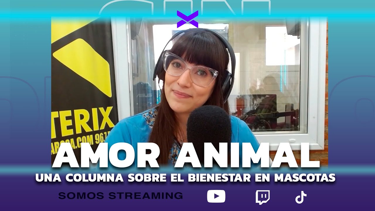 AMO ANIMAL SD