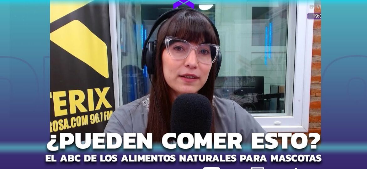 SD PUEDEN COMER LOS PERROS