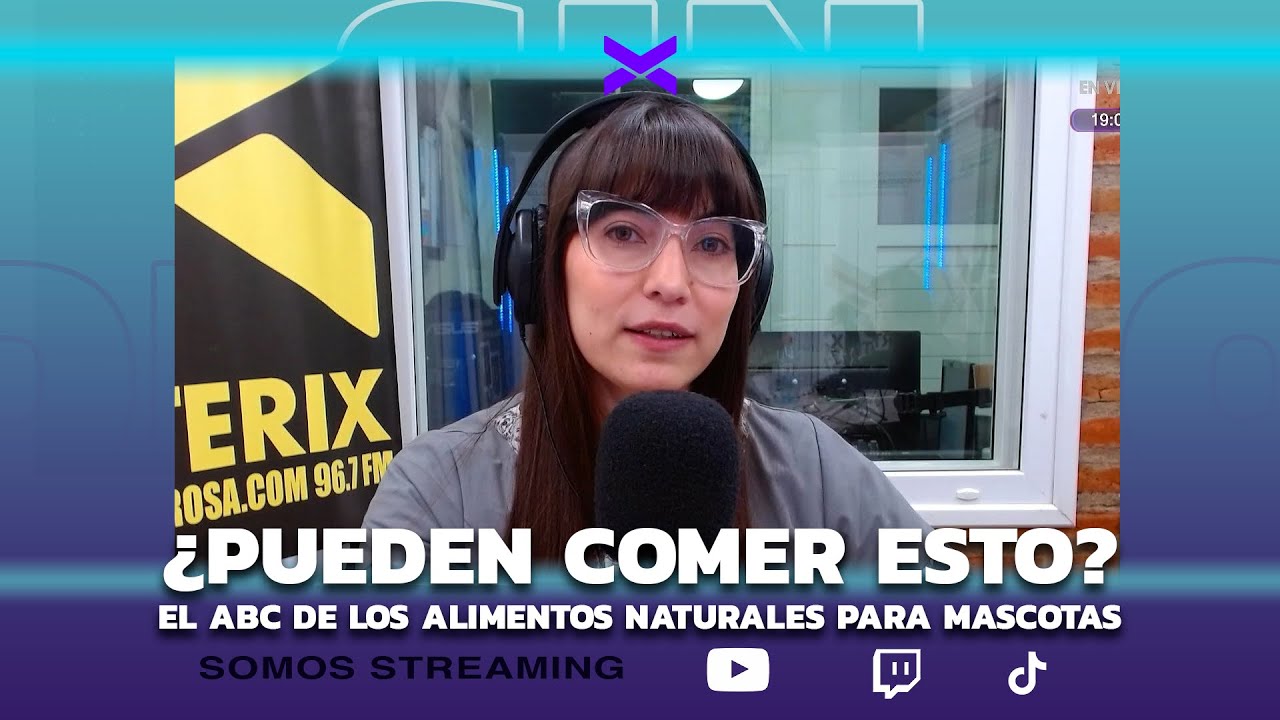 SD PUEDEN COMER LOS PERROS