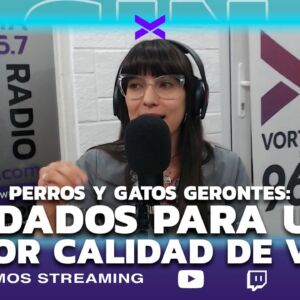 sin destino amor animal perros gerontes